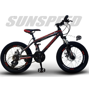 دوچرخه کوهستان سان اسپید SUNSPEED کد 20109 مدل ATOM سایز 20-اسباب بازی